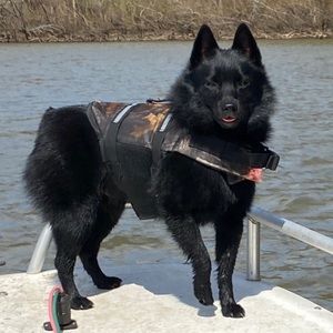 🎇🎇 🎇 REDUCED PRICES  WITH FREE SHIPPING ON MOST CLOSET ITEMS🎇🎇🎇